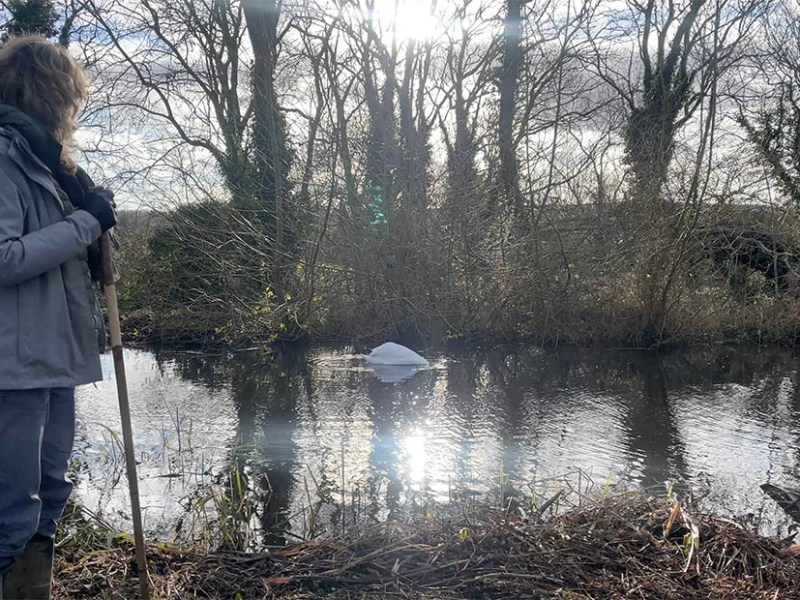 Interview with Janice&nbsp;Dent: