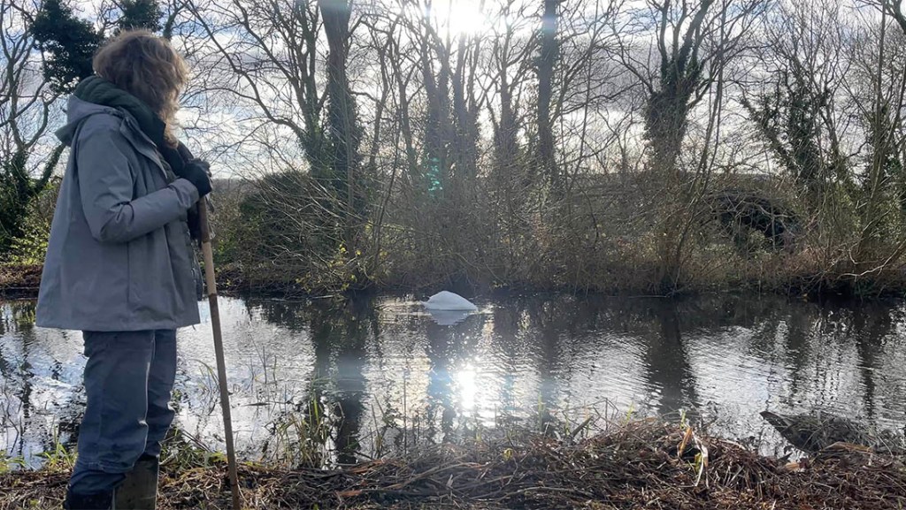 Interview with Janice&nbsp;Dent: